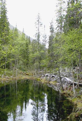 Tarinoiden lähteellä